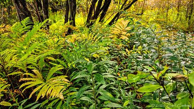 09/23/2025 - LRM-100624.jpg