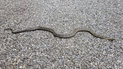 09/25/2025 - LRM-115258.jpg