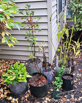 10/07/2025 - LRM-174609.jpg