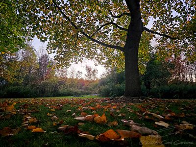 10/15/2025 - LRM-184911.jpg