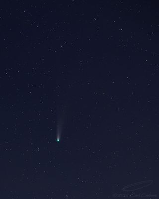 10/28/2025 - _42A2590.jpg