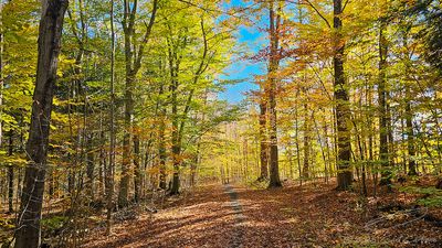 10/29/2025 - LRM-114725.jpg