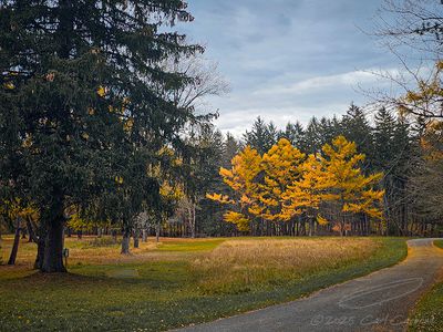 11/07/2025 - LRM-105341.jpg