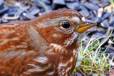 11/14/2025 - _42A2748.jpg