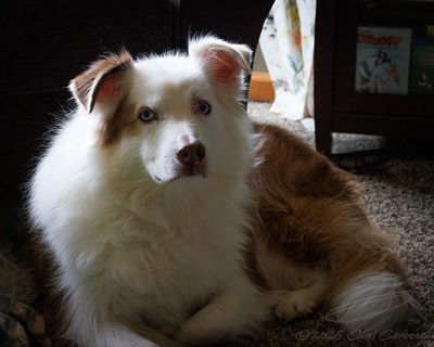 11/16/2025 - _42A2751.jpg