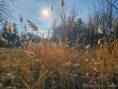 11/20/2025 - LRM-102741.jpg