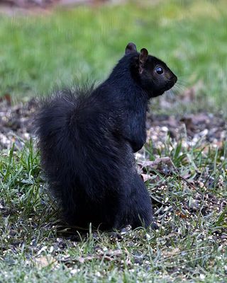 11/24/2025 - _42A2840.jpg