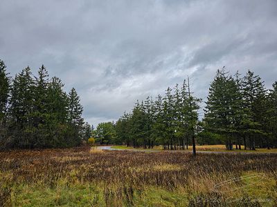 11/26/2025 - LRM-101302.jpg