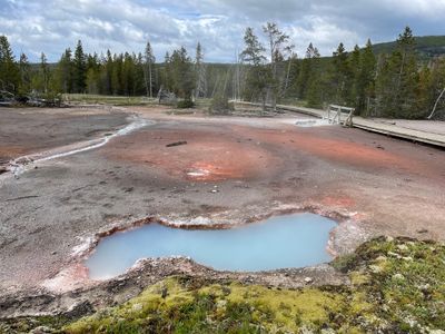 Artists' Paintpot