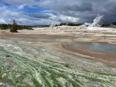 Norris Geyser Basin