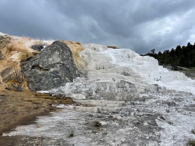 Mammoth Hot Spring Terraces - Palette Spring