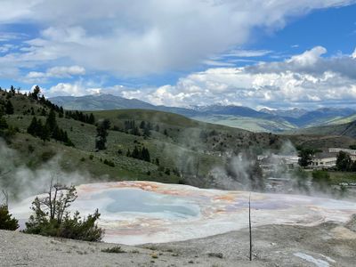 Mammoth Hot Spring Terraces
