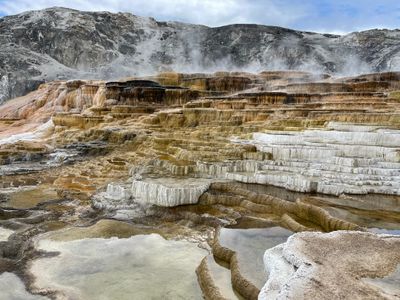 Mammoth Hot Spring Terraces - Mound Spring