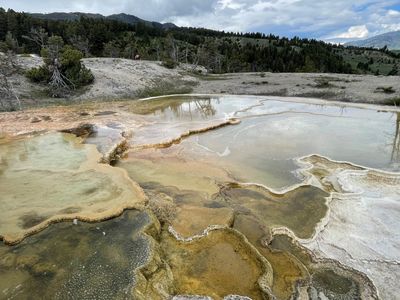 Mammoth Hot Spring Terraces