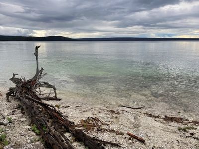 WestThumb - Yellowstone Lake
