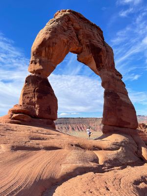 Tree Pose under Delicate Arch