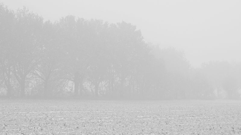 Snow and Fog I