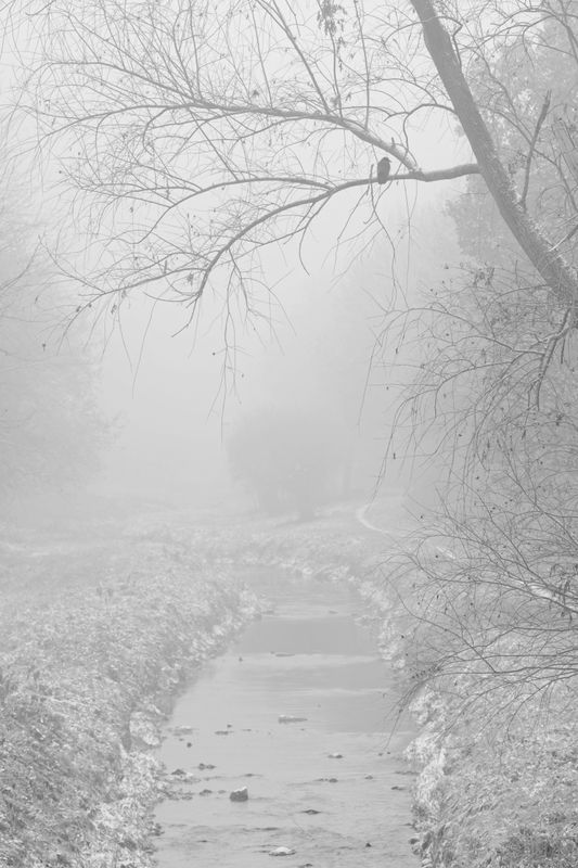 Snow and Fog III - Vloedgraaf