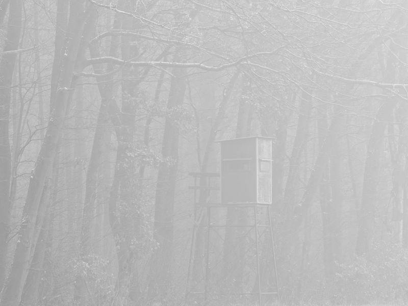 Snow and Fog - VIII - Hunter's watch tower