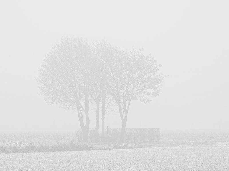 Snow and Fog - IX