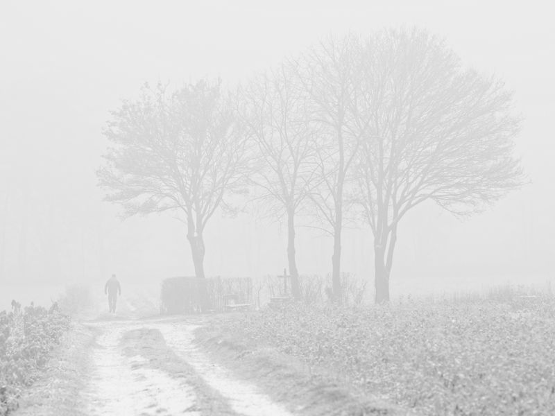 Snow and Fog - X