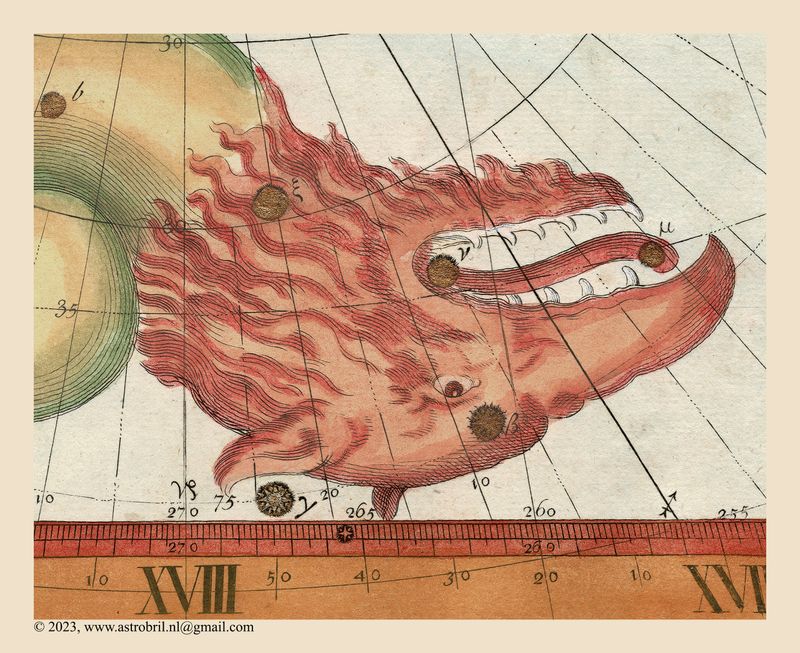 Plate 15 - Draco (detail)