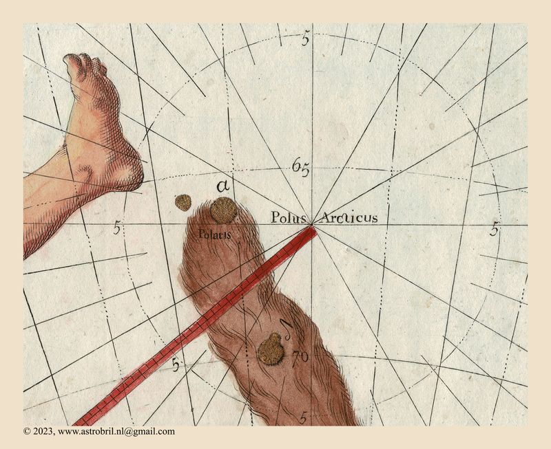 Plate 15 - Polus Arcticus & Polaris (detail)