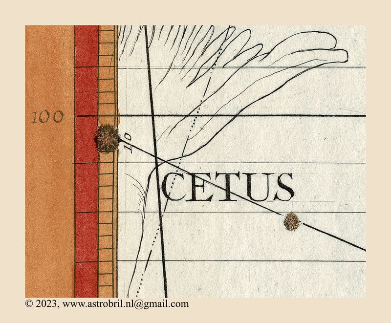 Plate 9 - Cetus (detail)
