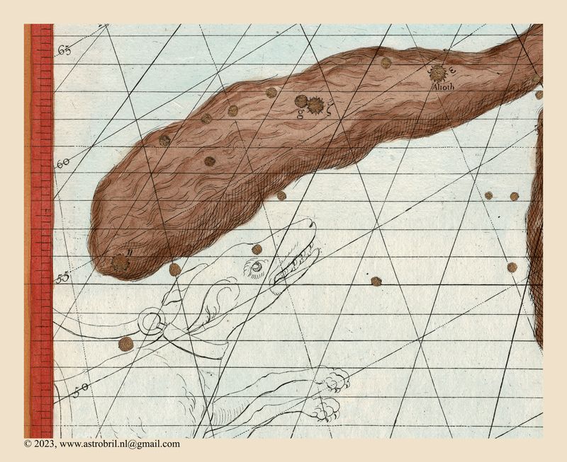 Plate 19 - Ursa Major & Canes Venatici (detail)