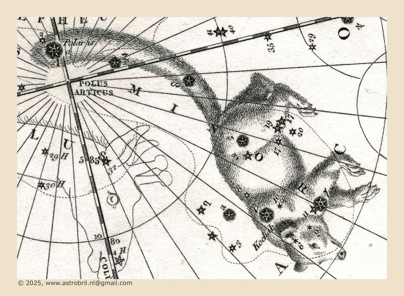 Plate II - Ursa Major and Ursa Minor (detail)