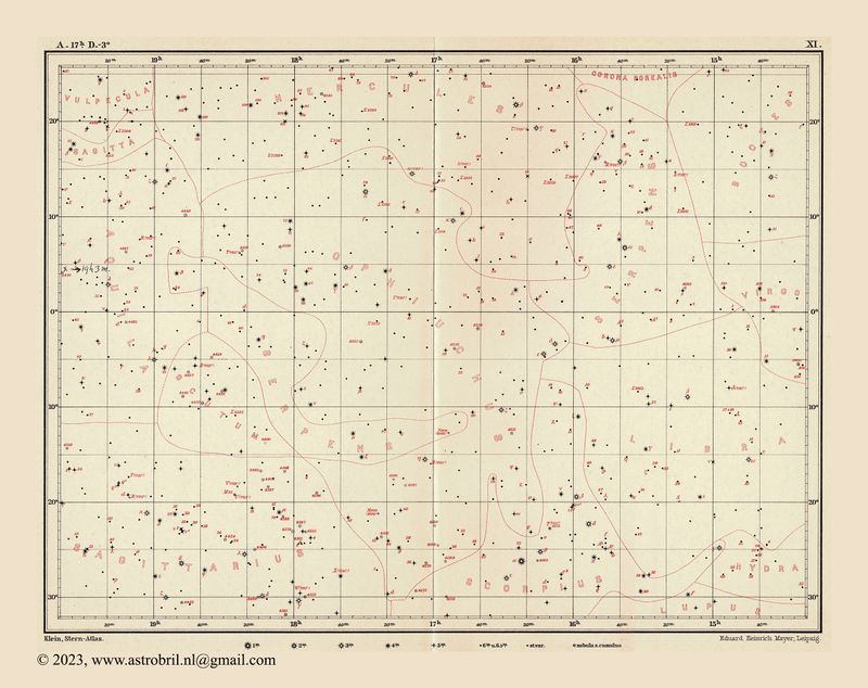 Blatt 11