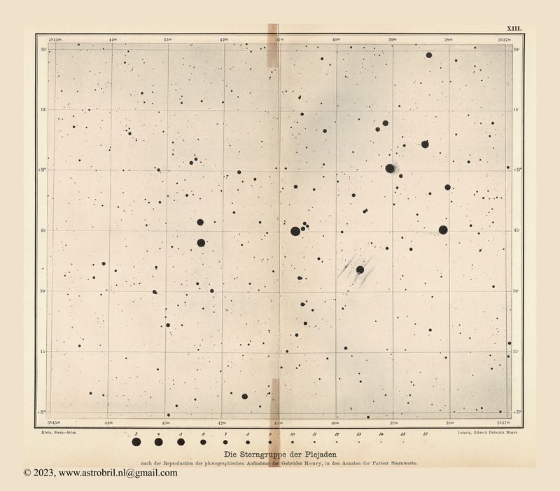 Blatt 13