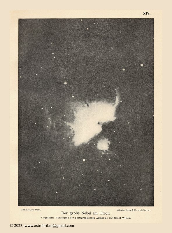 Blatt 14