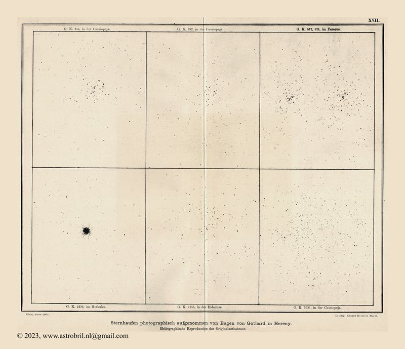 Blatt 17