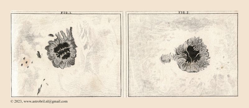 Kaiser 1853 - Plate I - fig 1-2