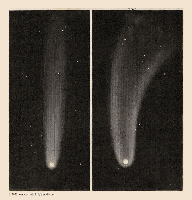 Kaiser 1853 - Plate II - fig 2-3