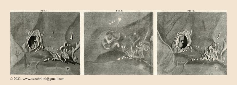 Kaiser 1853 - Plate V - fig 4-6