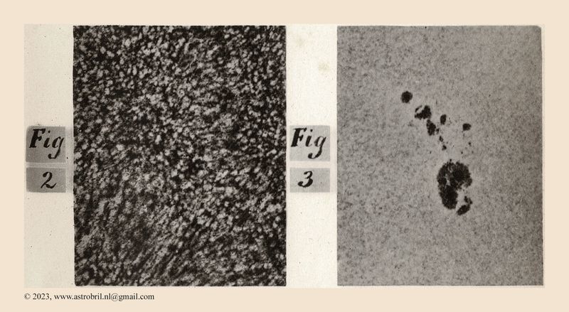 Kaiser 1889 - Plate VI (book I) - fig 2-3