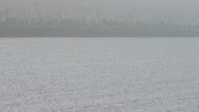 g13/97/570097/3/173243135.da76210c.JPEG