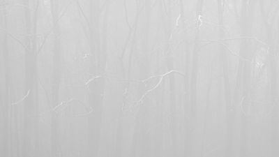 g13/97/570097/3/173243138.d5729657.JPEG