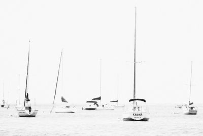 DSC_7130-2.jpg