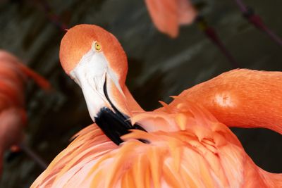 Florida