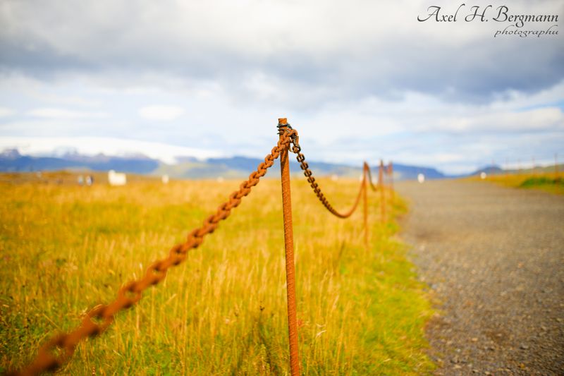 DSCF3539.jpg