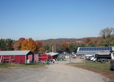 Walk to Apple Orchards