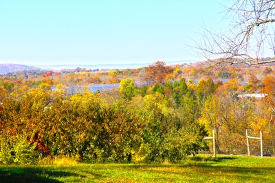 Fall Colors in Warwick New York