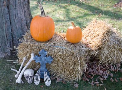 Halloween Display