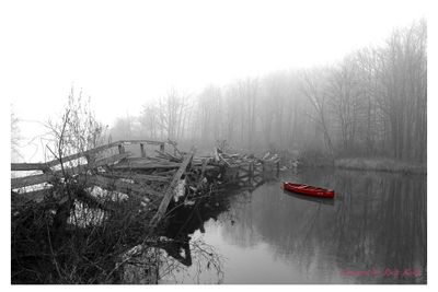 black_and__white_canoe_series