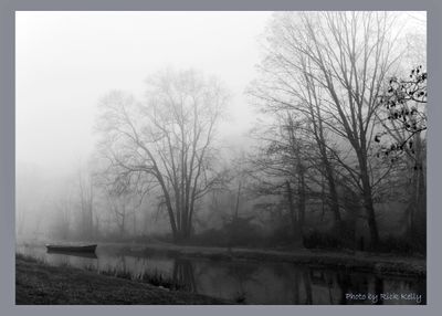 Early morning Fog