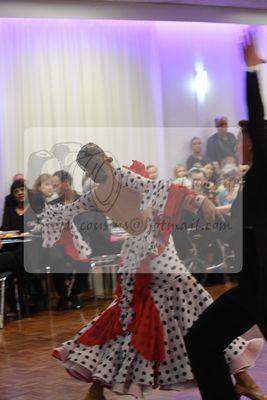 2023 DASA Adelaide Spectacular 1159.jpg