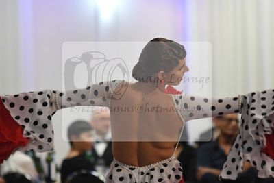 2023 DASA Adelaide Spectacular 1207.jpg